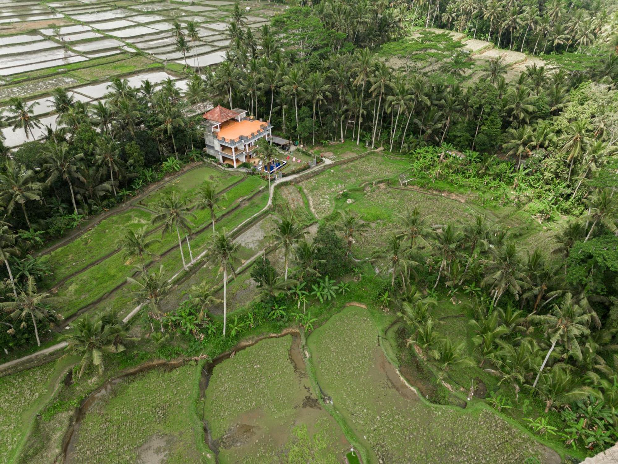 Adhidrawa Ubud Εξωτερικό φωτογραφία